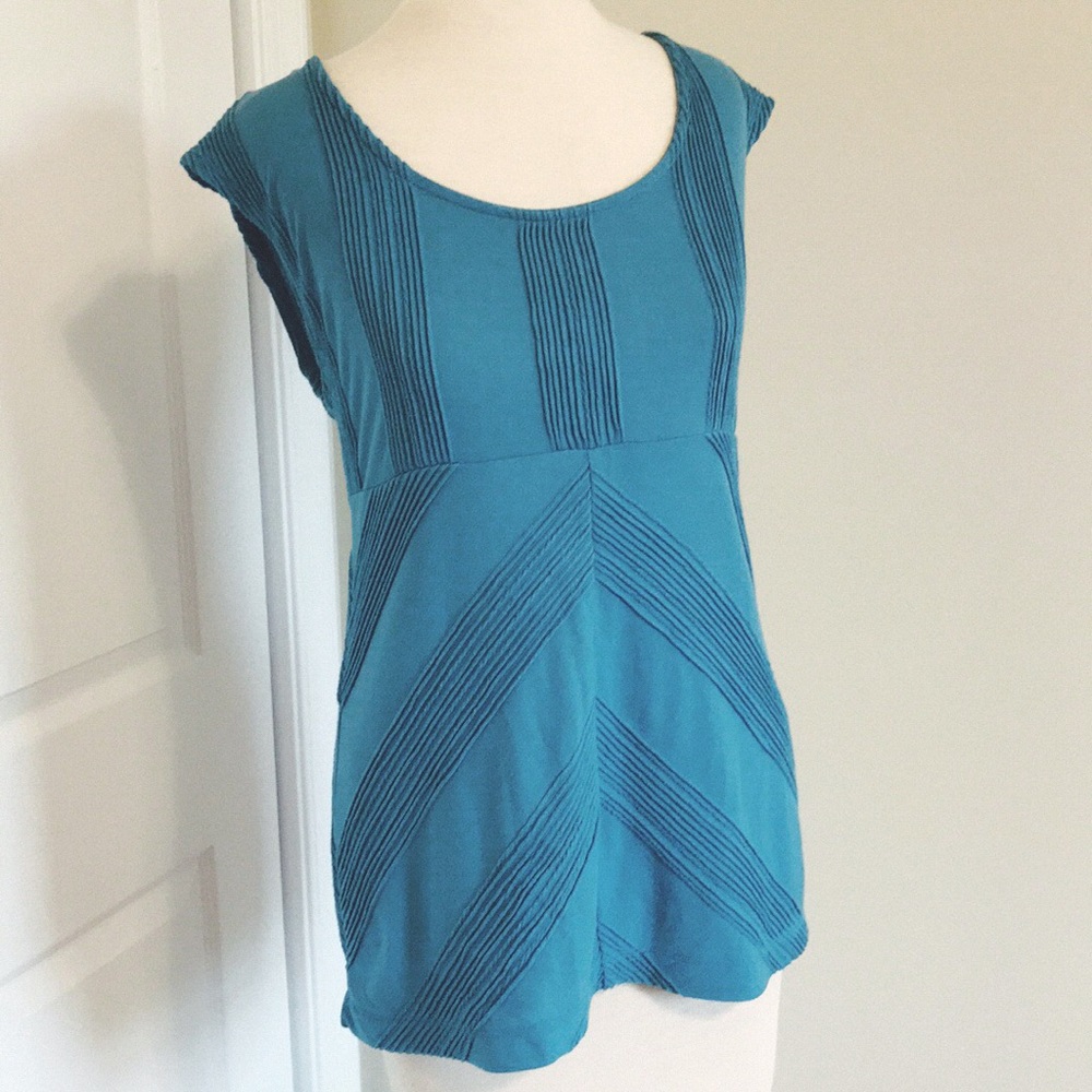 Anthro Postmark blue chevron top